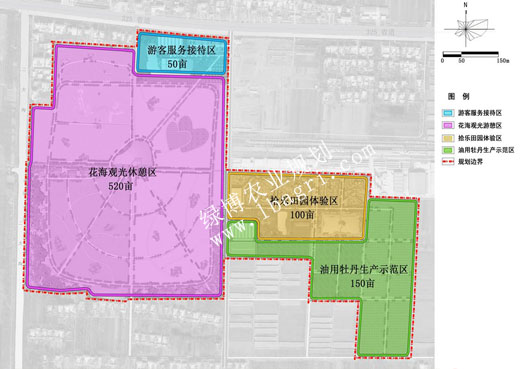 紫缘薰衣草庄园规划分区图